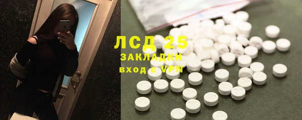 стафф Осинники