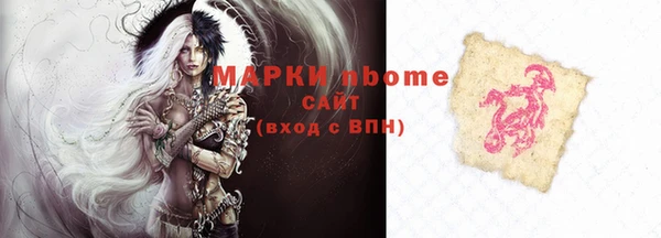 стафф Осинники