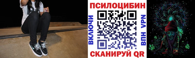 Галлюциногенные грибы Cubensis  мега как войти  Сальск 